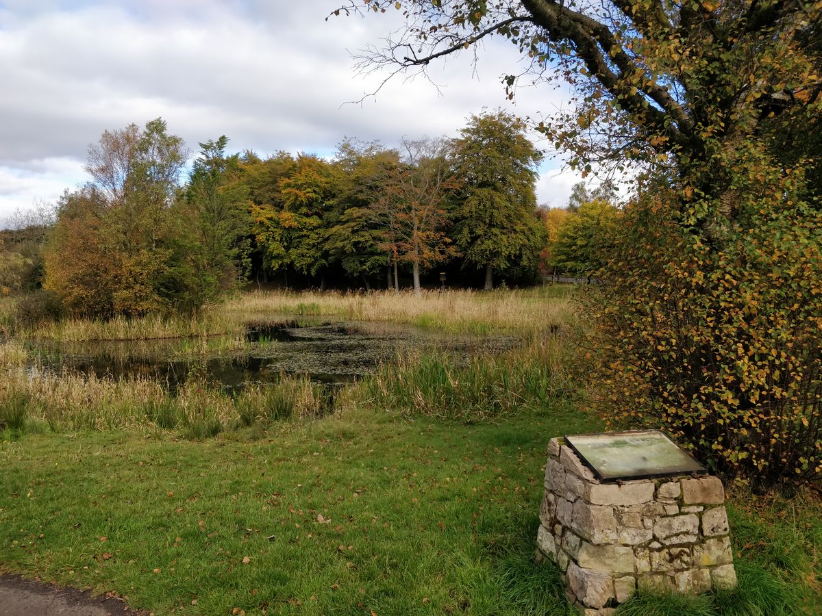 Autumn on Hole 8