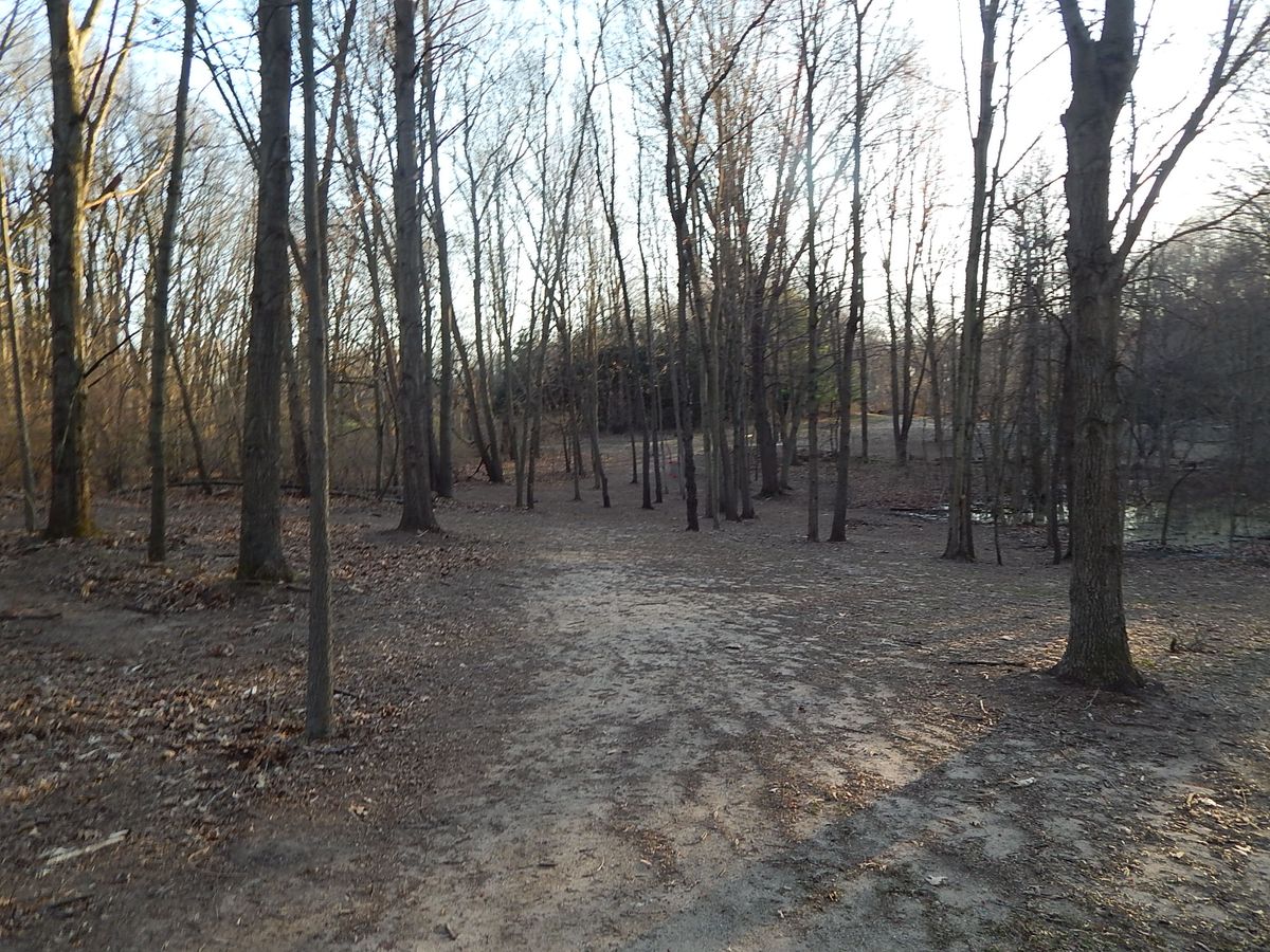 Hole 8 fairway, basket slightly downhill to the right