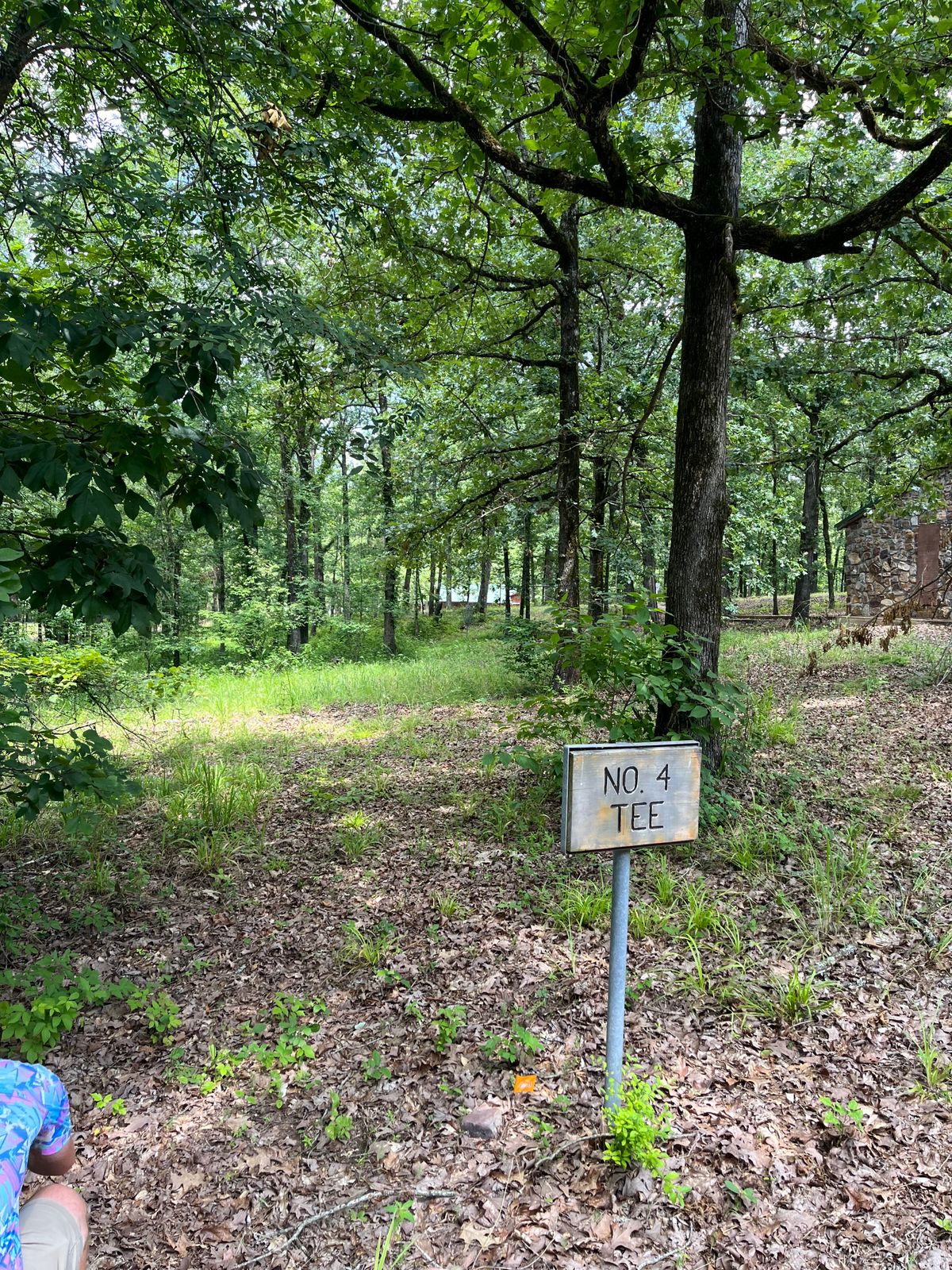 Hole 4 Tee