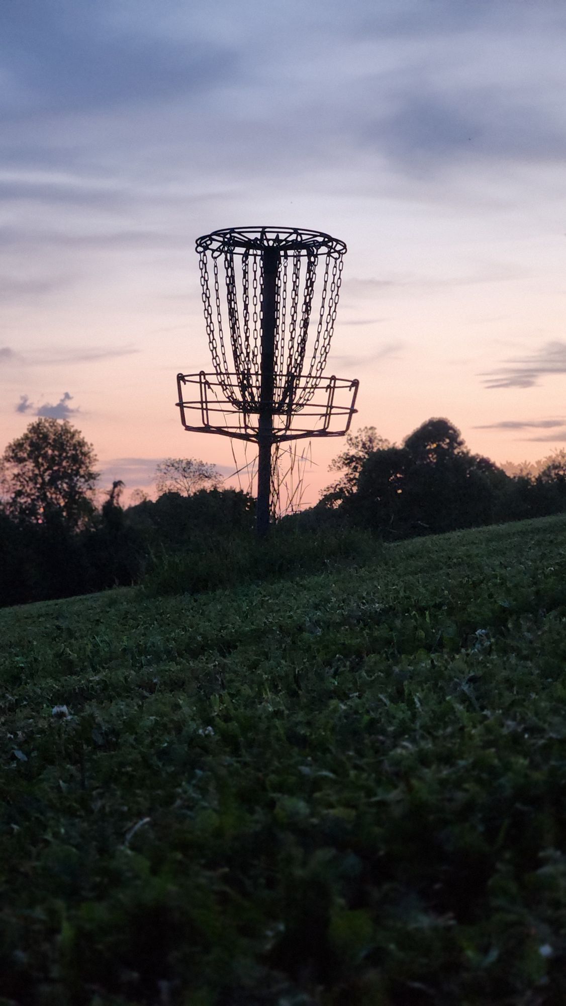 18 basket in twilight