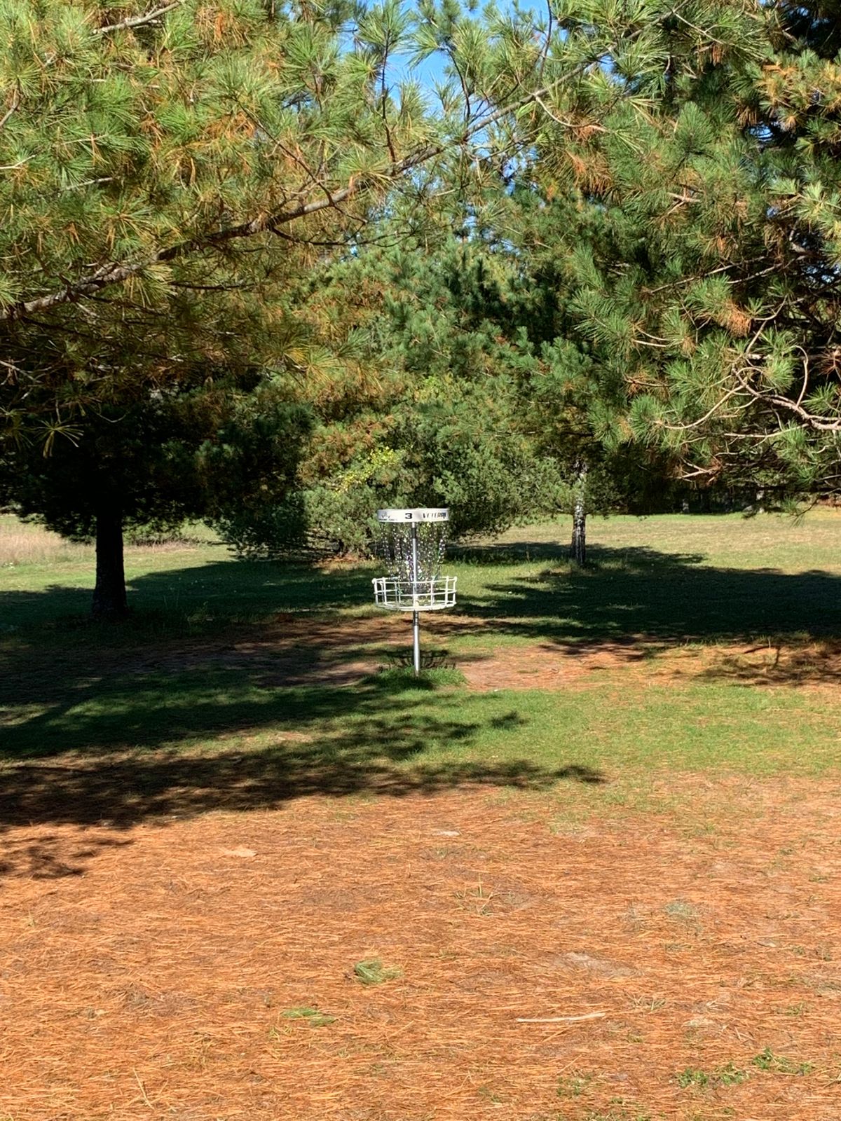 Hole 3 Basket