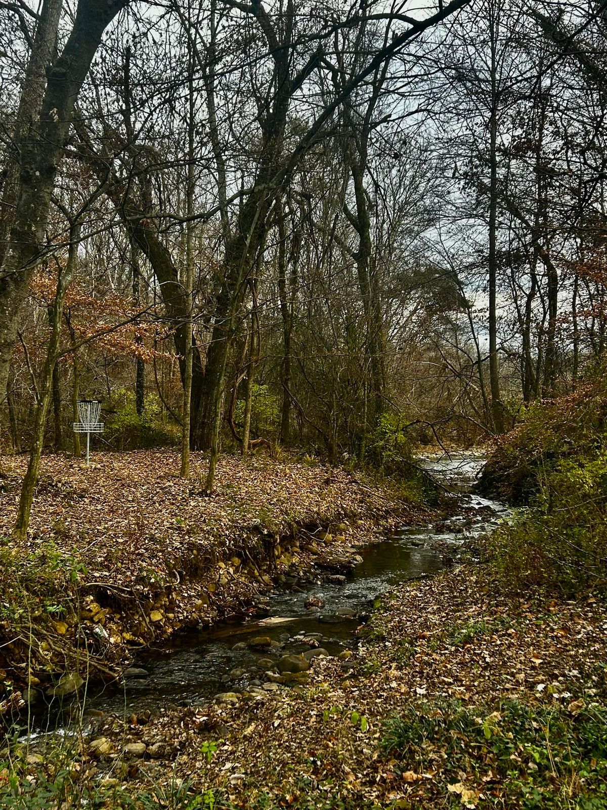 Hole 10's green with the creek that's deep of the basket.