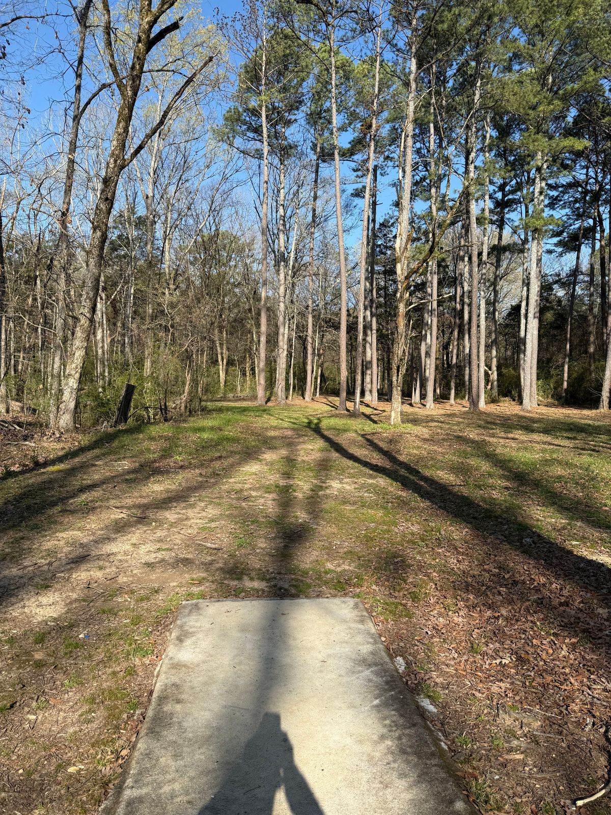 Hole 4 Tee box view