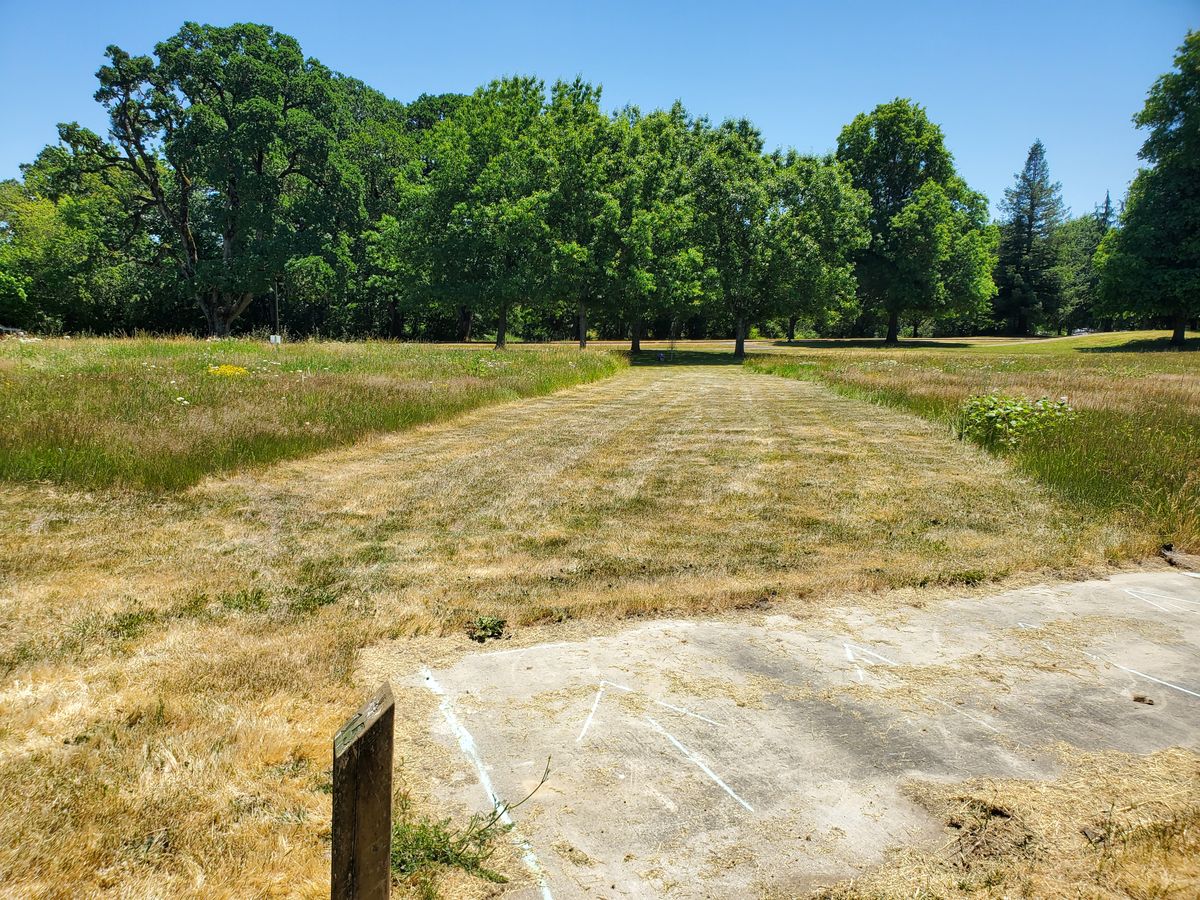 Hole 15