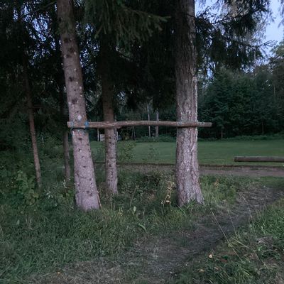 Trippelmando