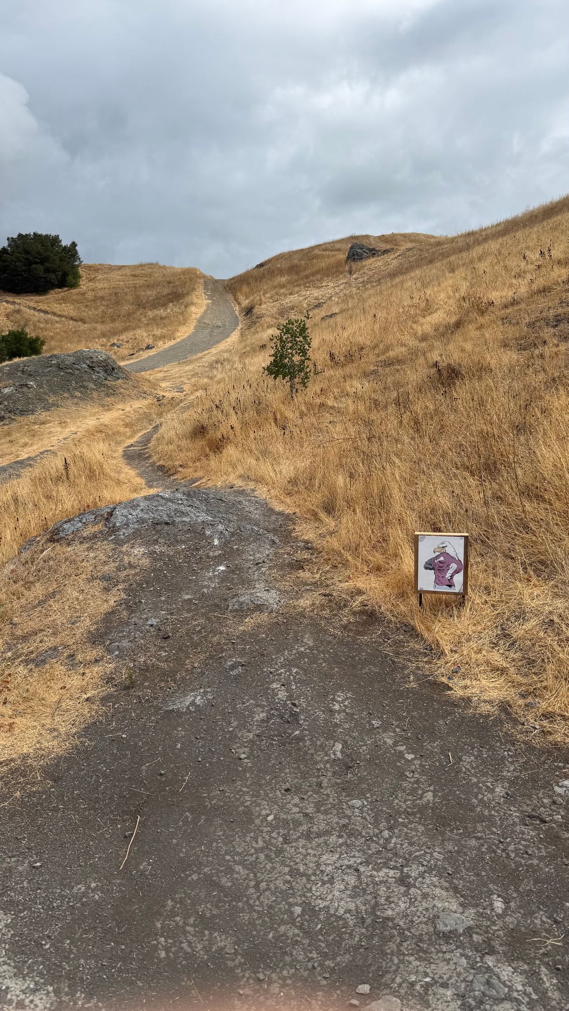#1. Basket uphill straight and slightly to the right.