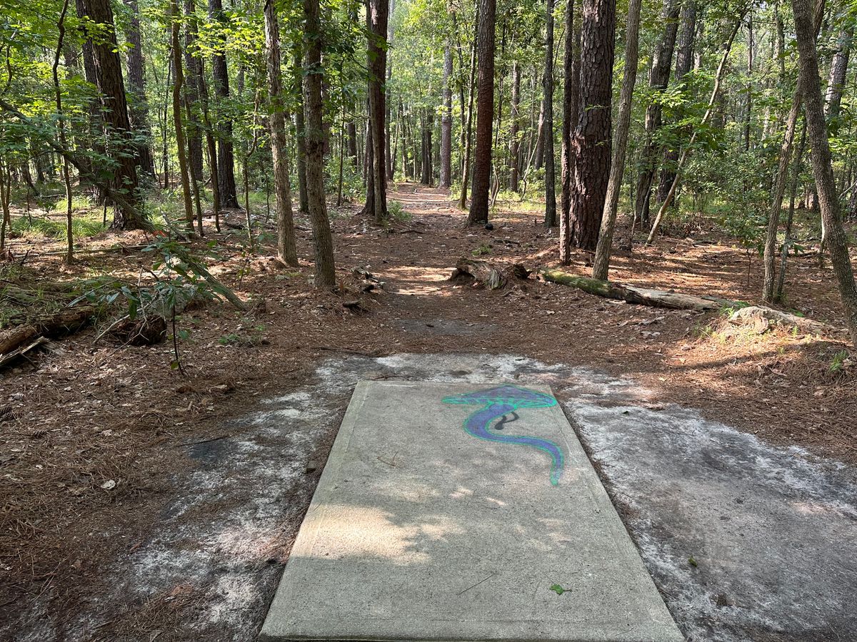 Hole 8a Tee