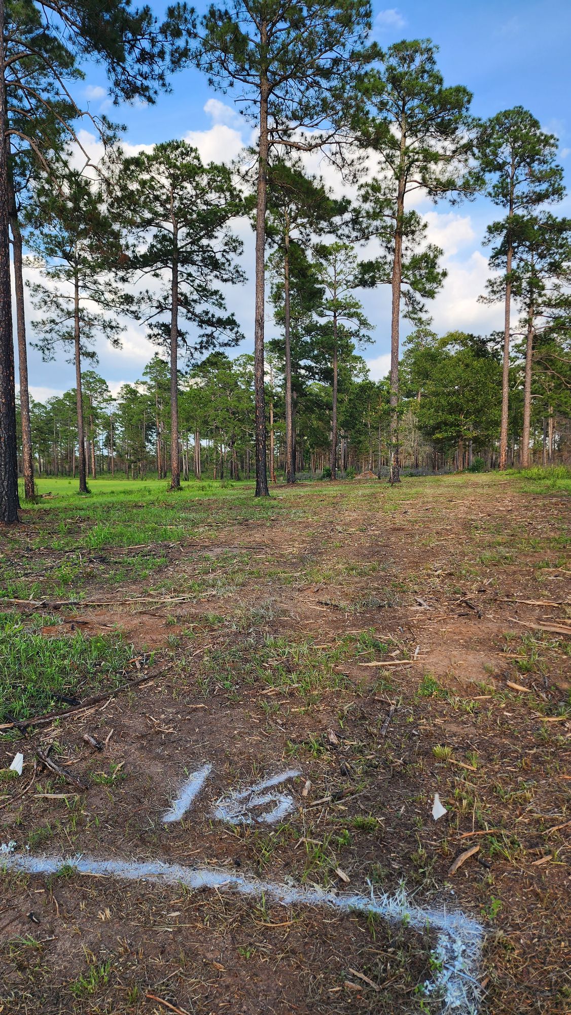 Hole 16 267'