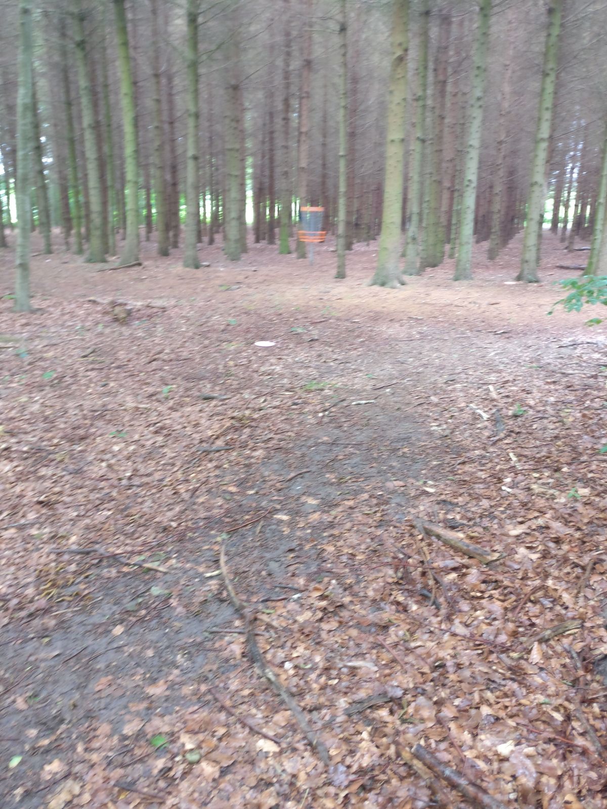 Hole 15