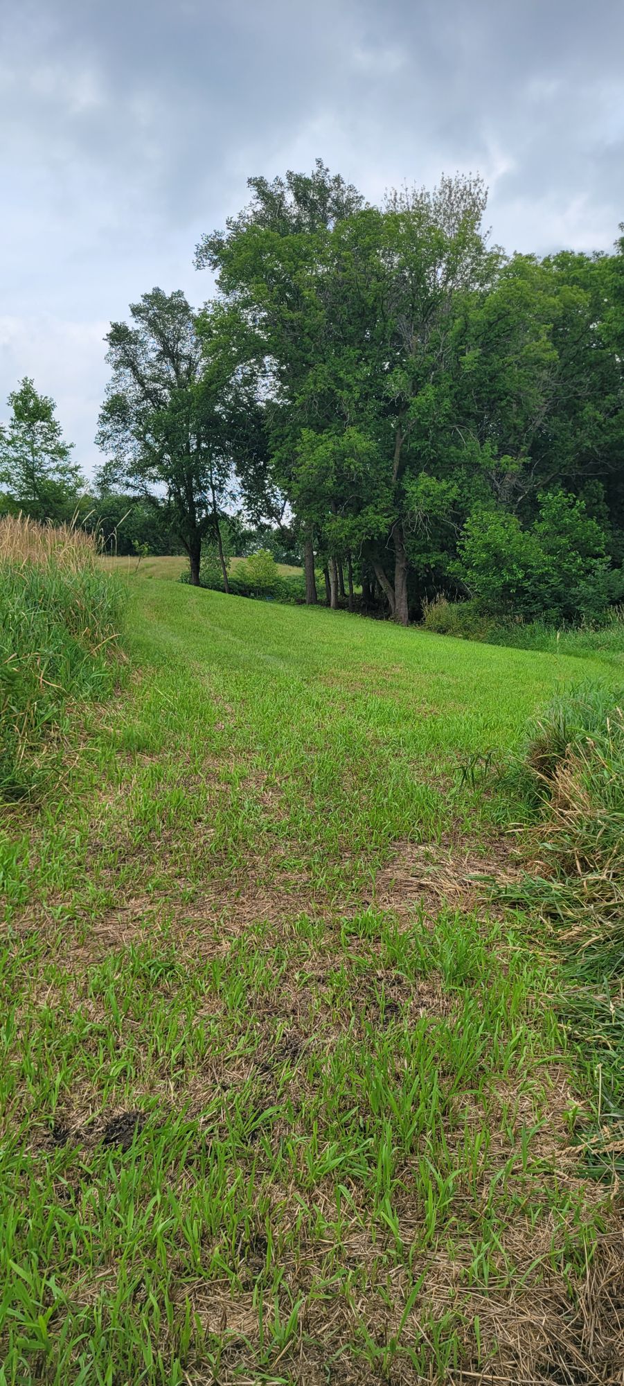 #8 Tee