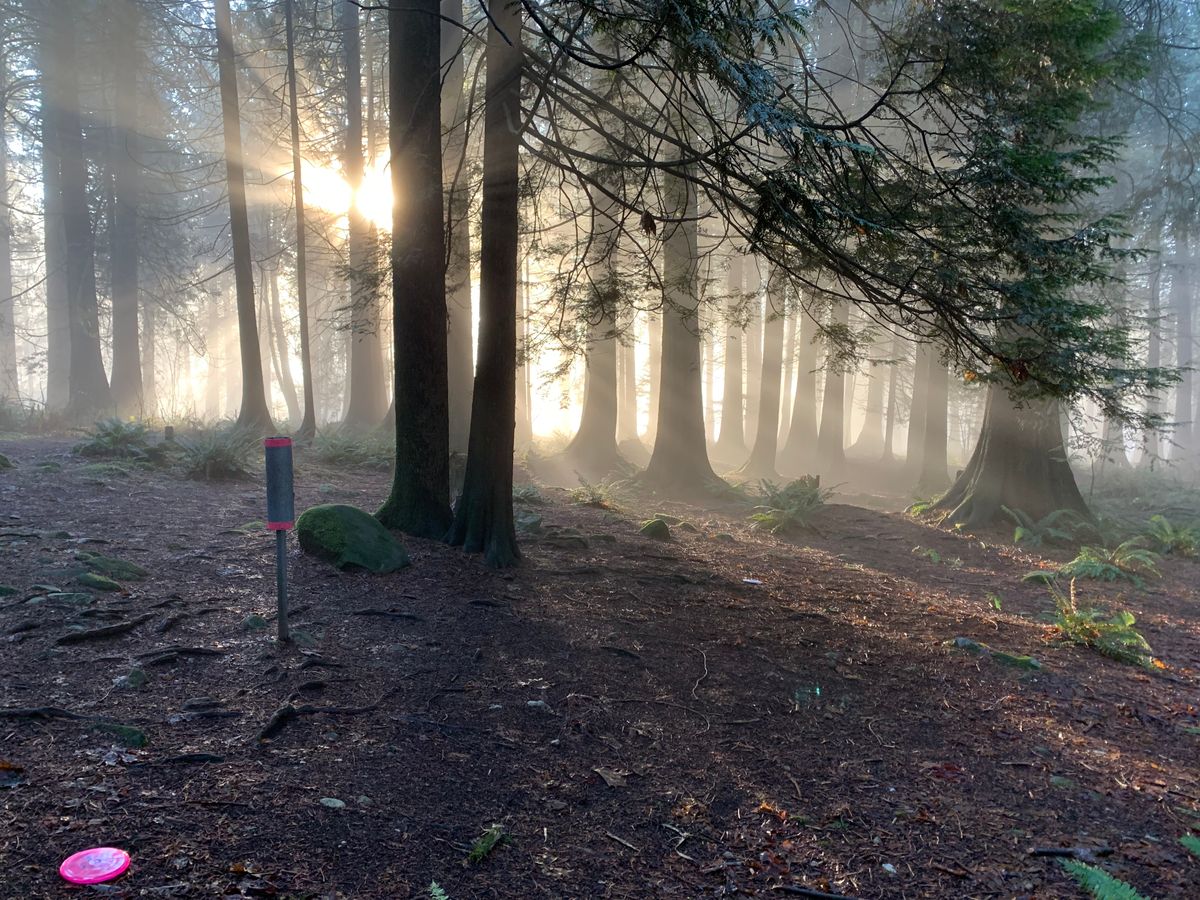 Misty morning on the Hill.