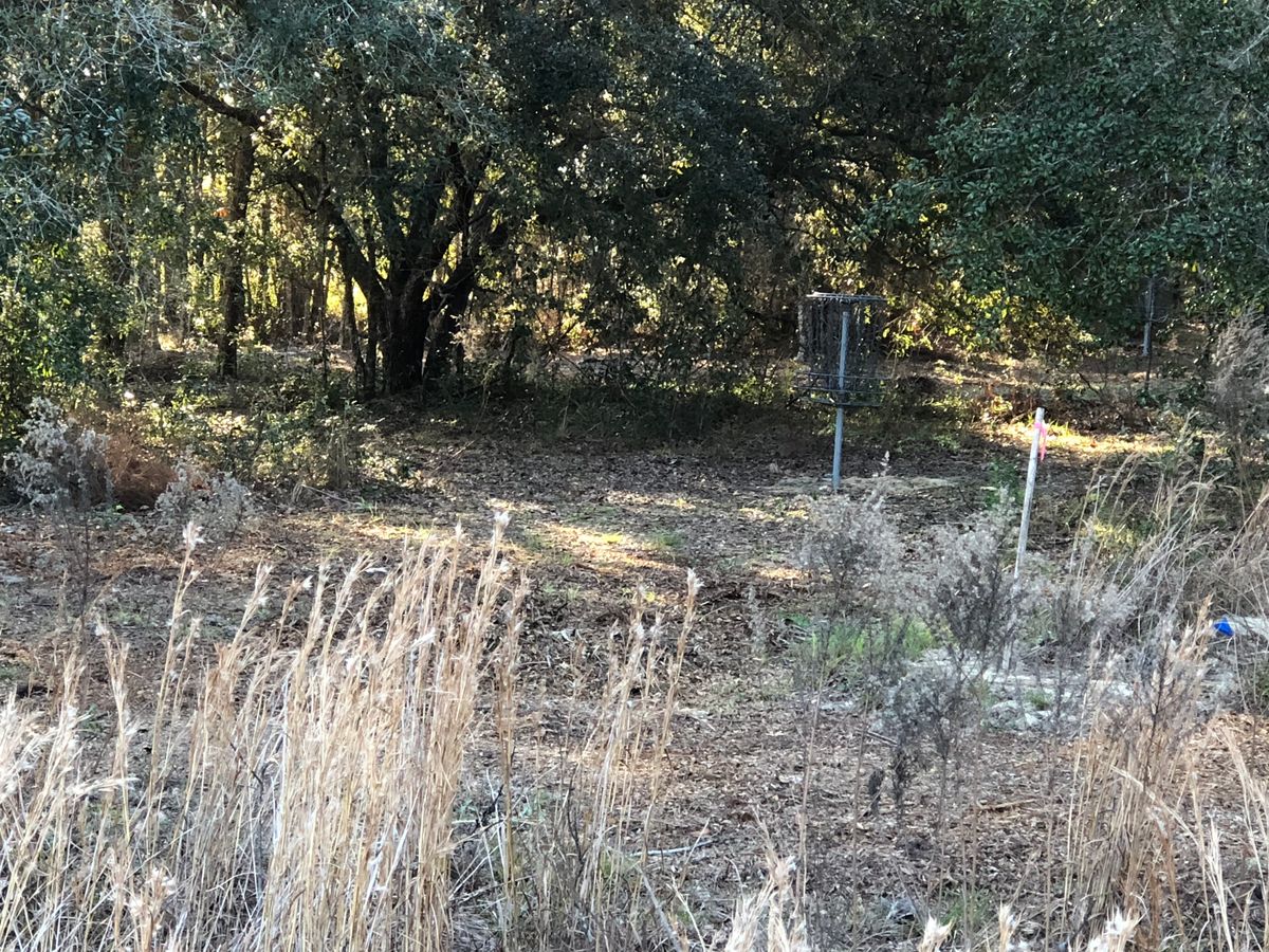 Looking in the back door of hole#1