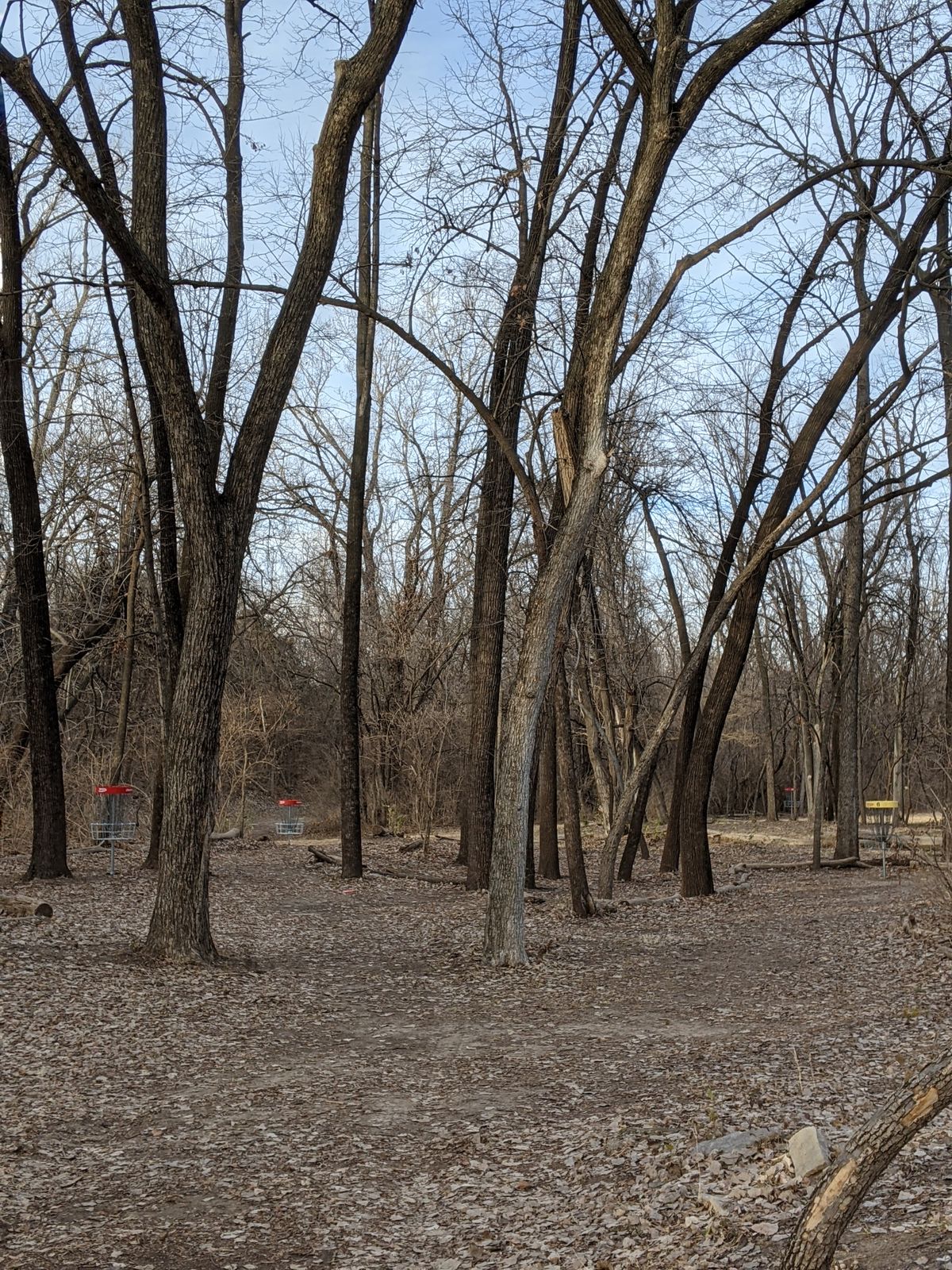 Hole 6 fairway, all 4 baskets.