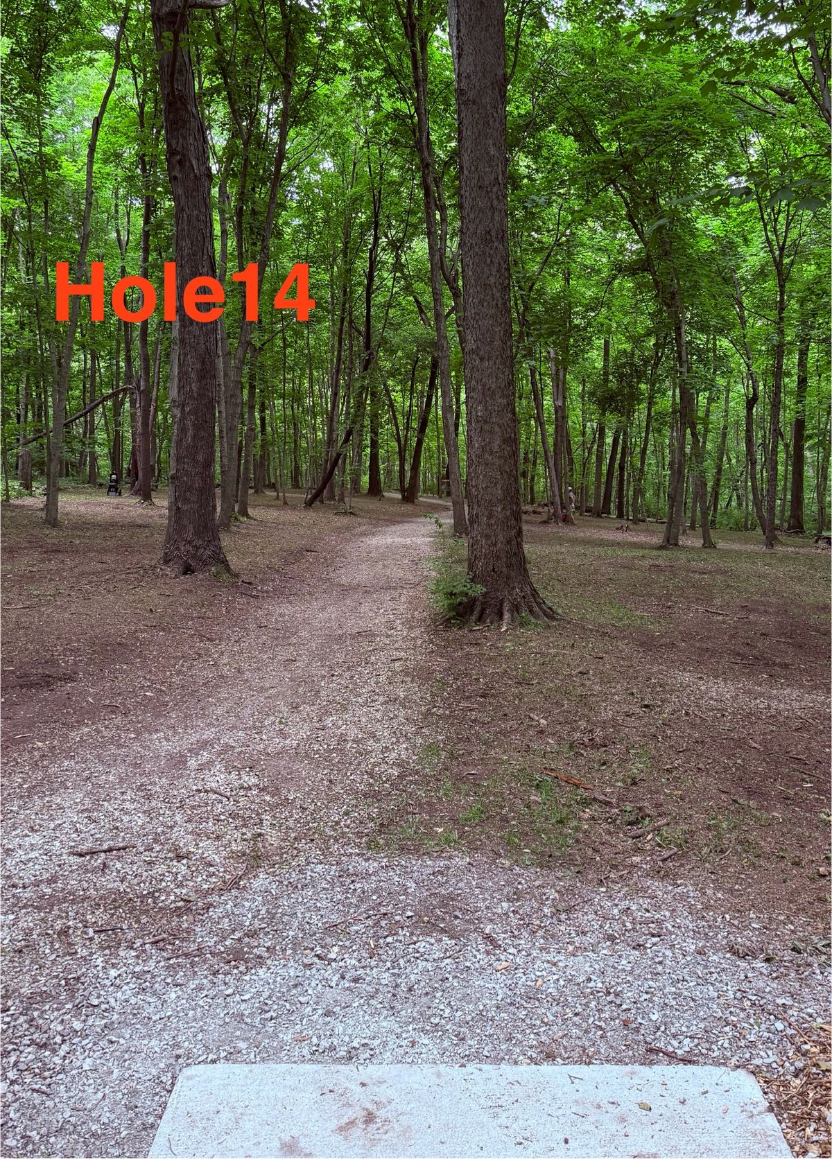 Hole 14