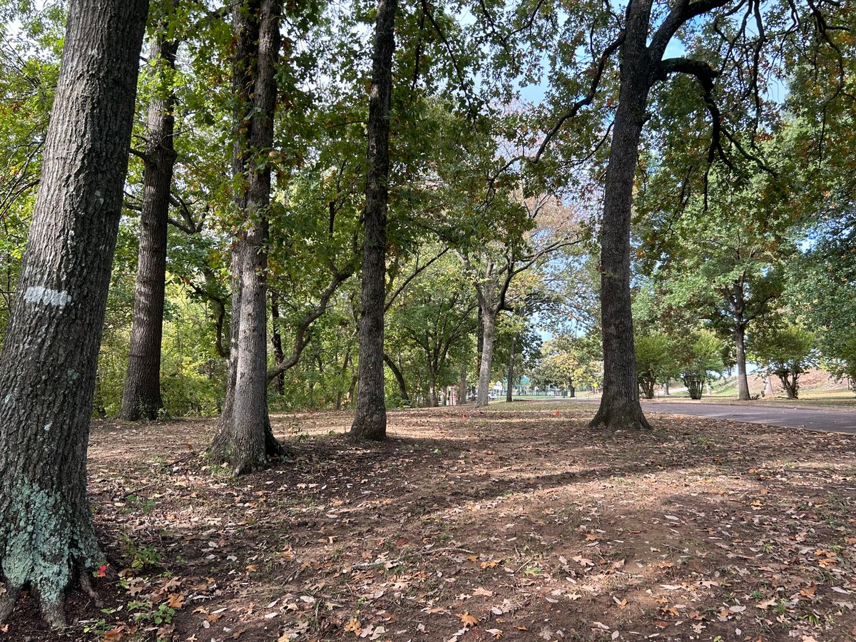 Hole 5 basket