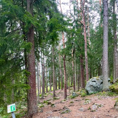 Väylä 9