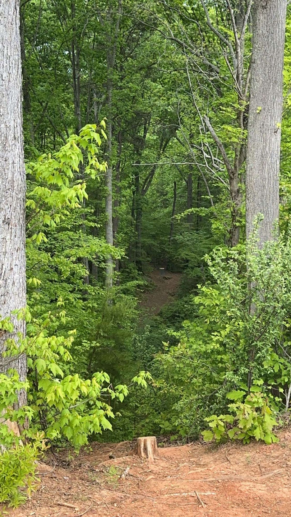 Hole 8