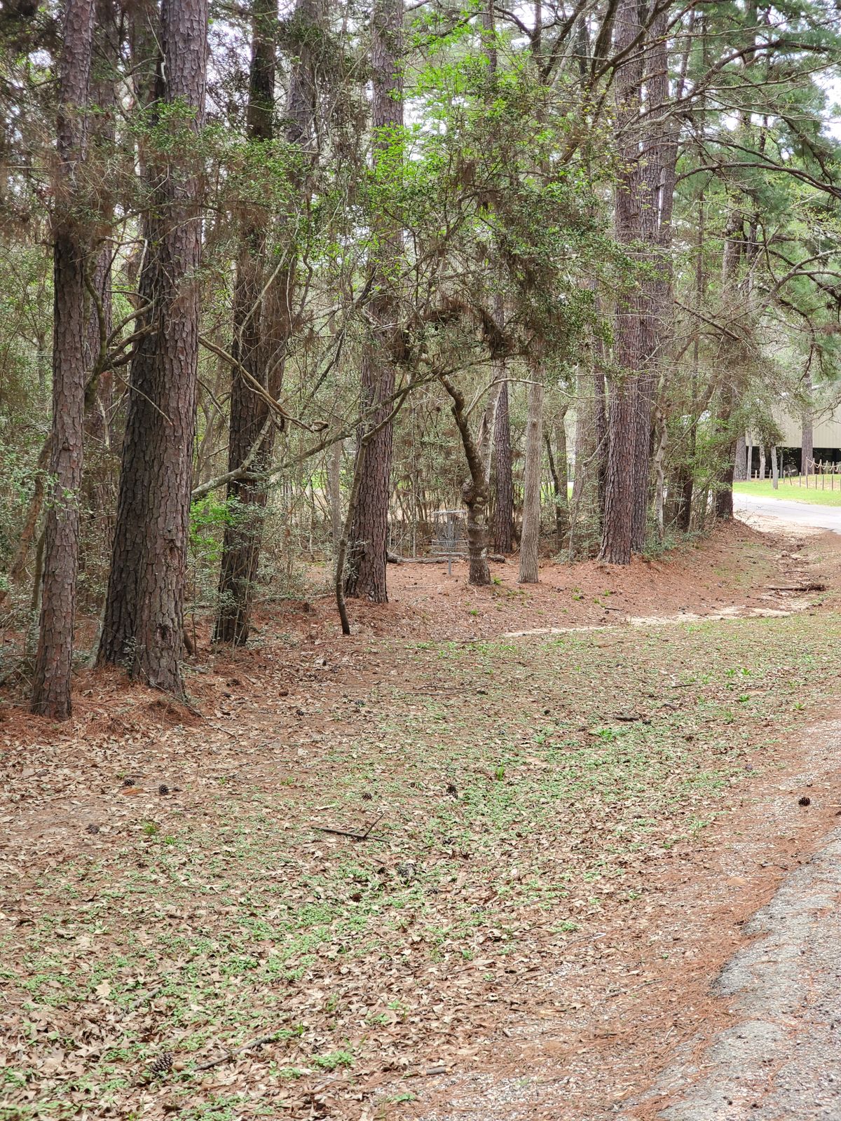 Hole 15 approach