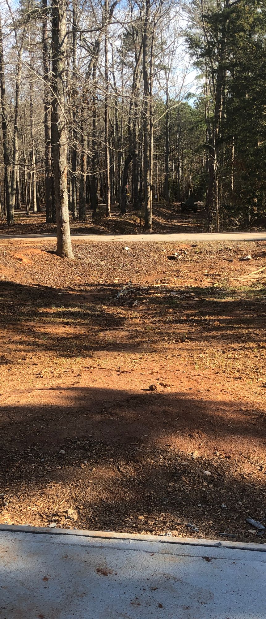 Hole 4 Tee