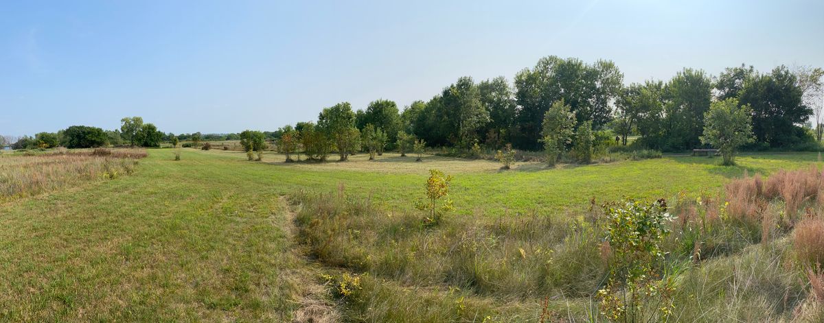 Hole 2 expansion 8/2021