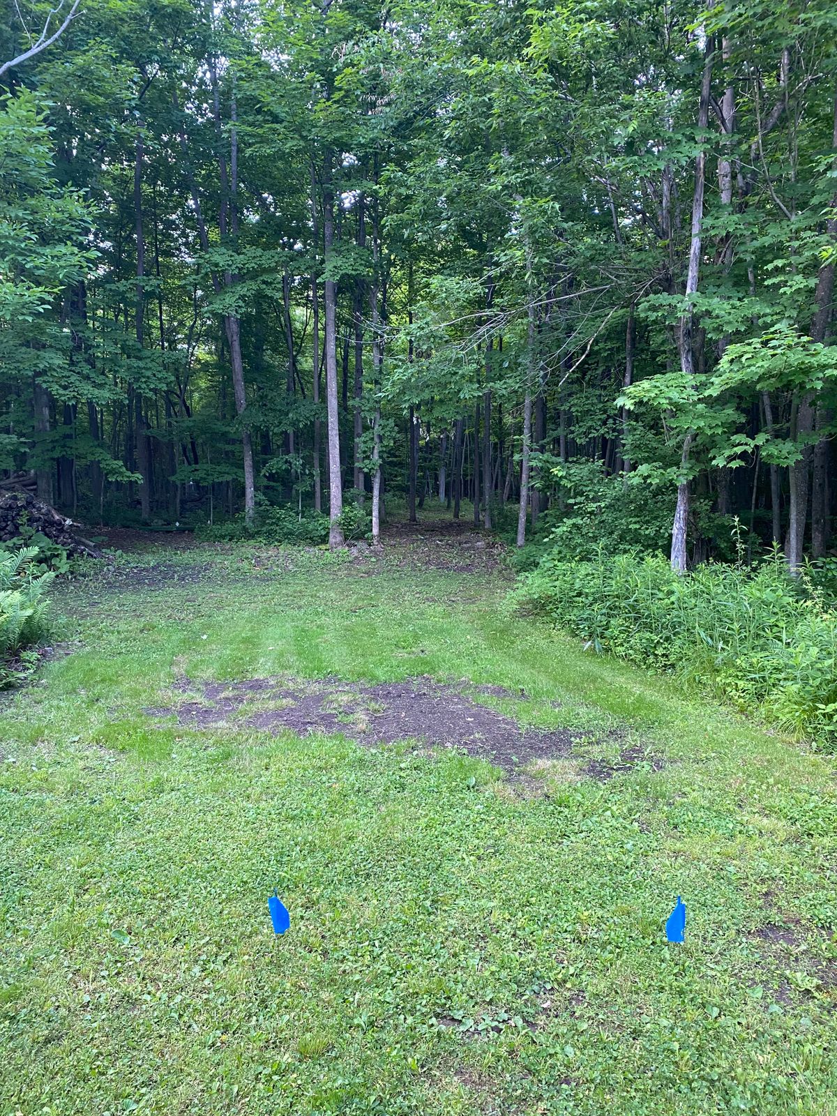 1 blue tee