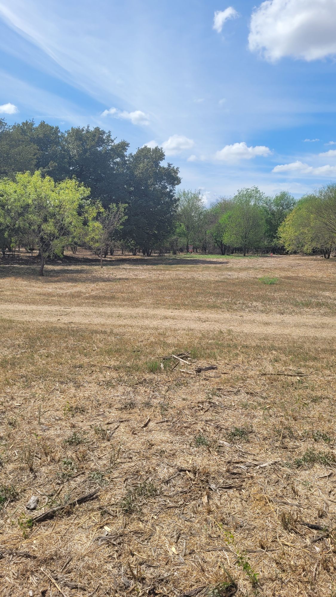 Hole 6 (after dogleg)