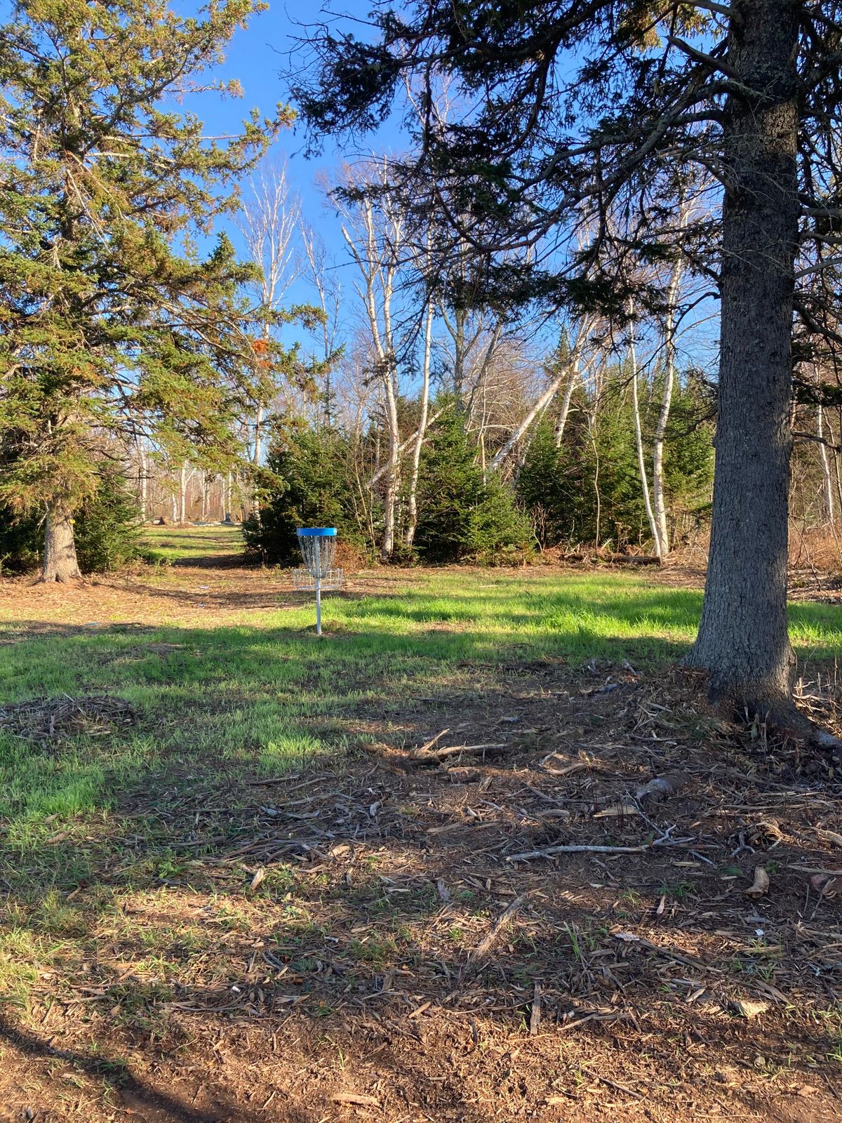 Hole 18 - green for blue layout.