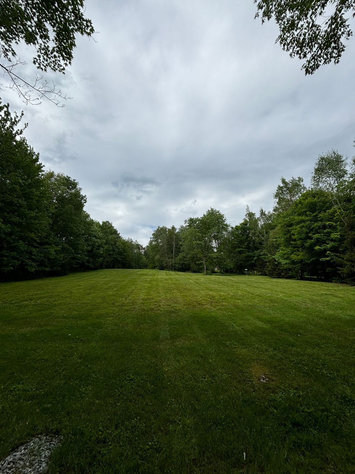 Hole 10 fairway looking back towards tee