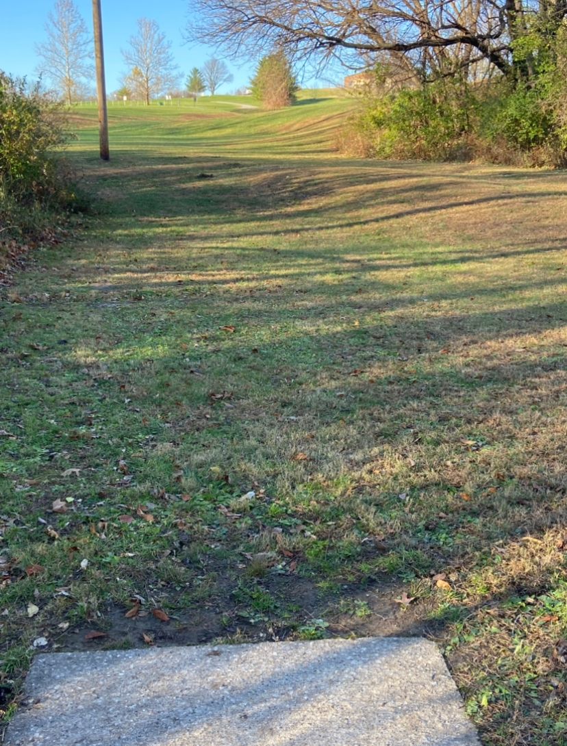 Just around the edge to the right just past bushes to right but low clearance