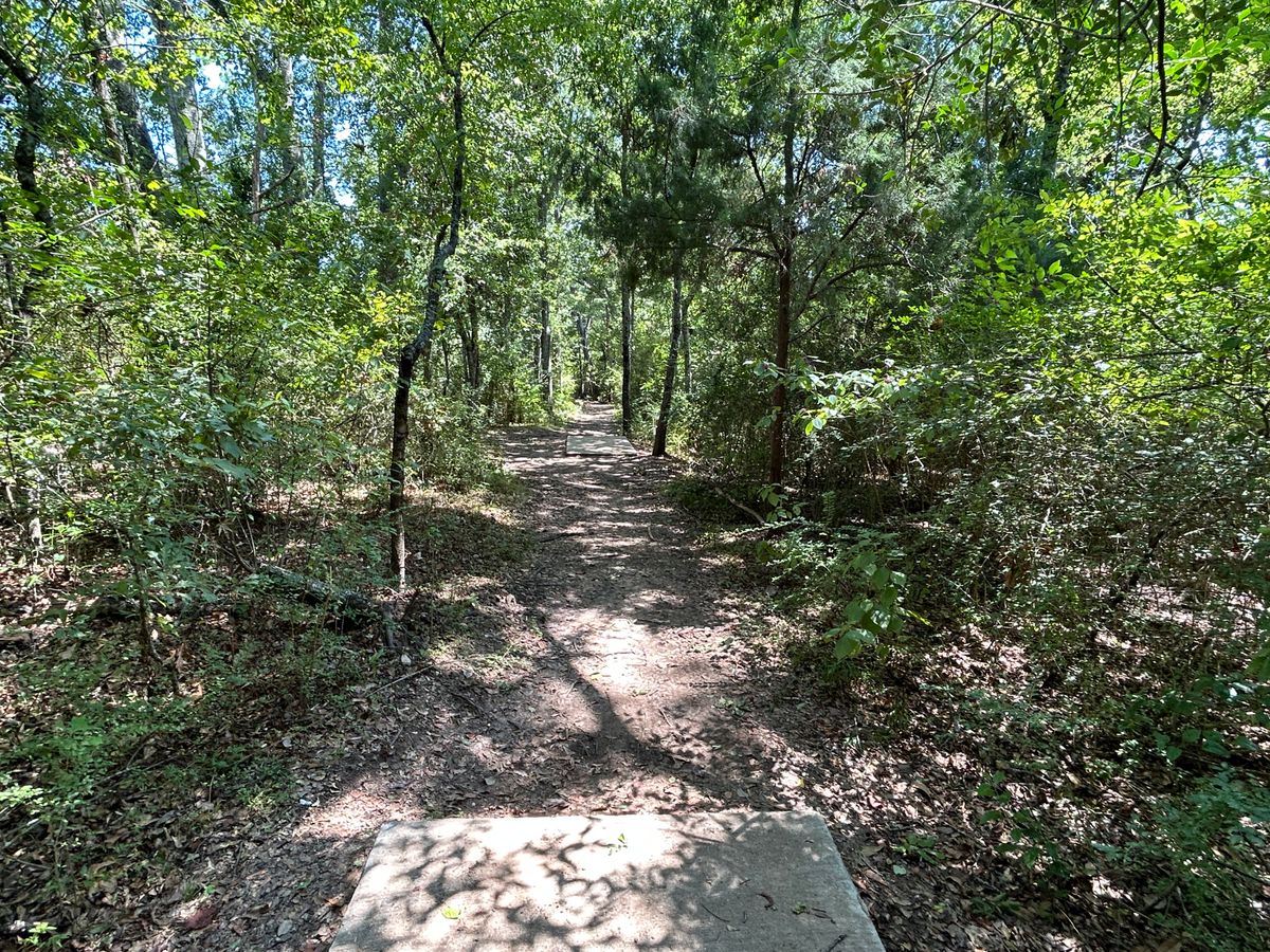 Hole 6 Fairway (White)