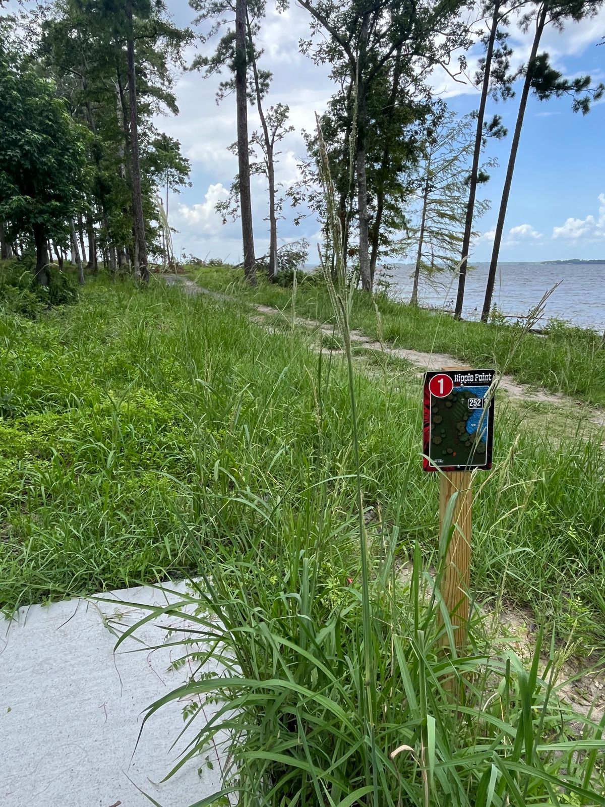 Don’t over throw hole 1!
