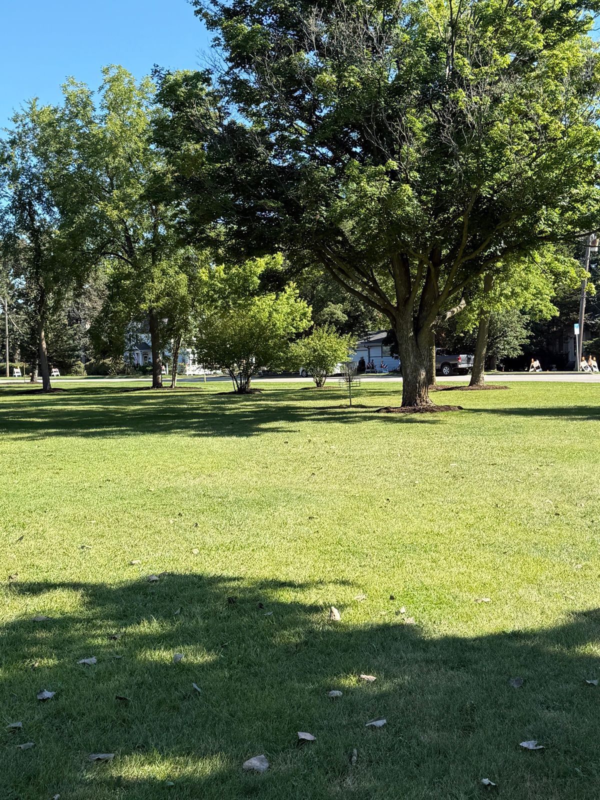 Tee 5 approach