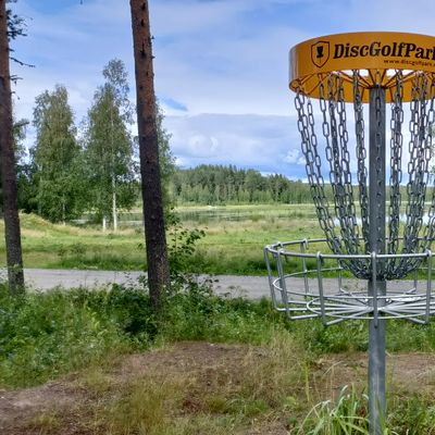 Hole 8 basket.