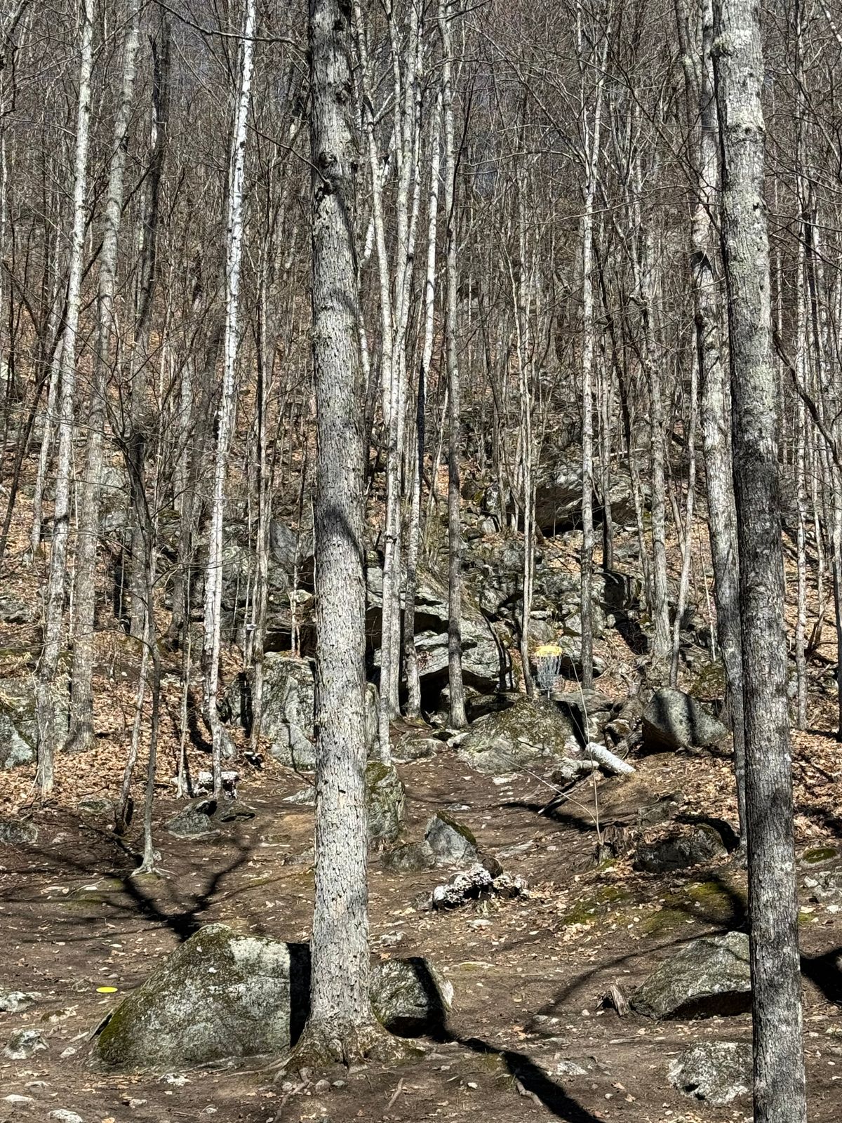 Hole 13 approach