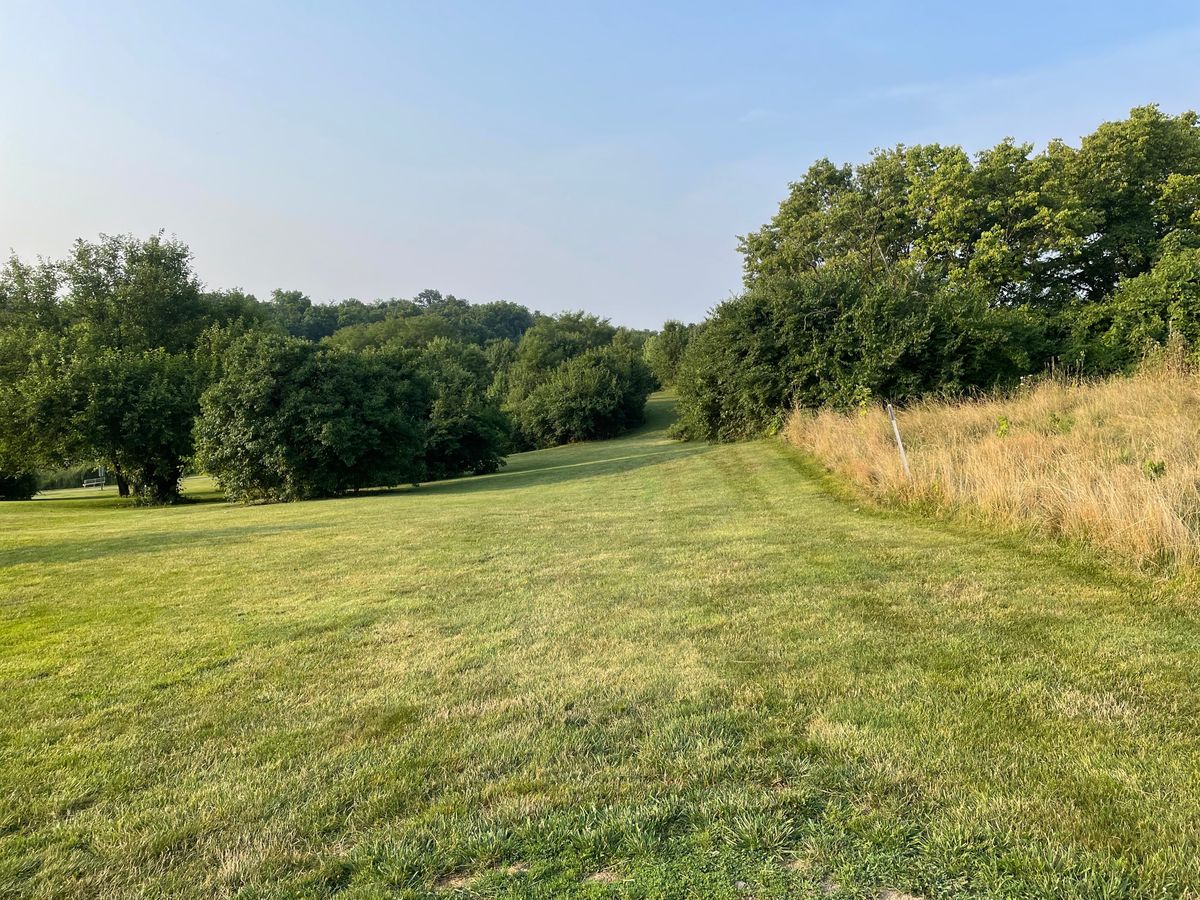 From hole 3 box looking down the edge of the fairway toward the hole.