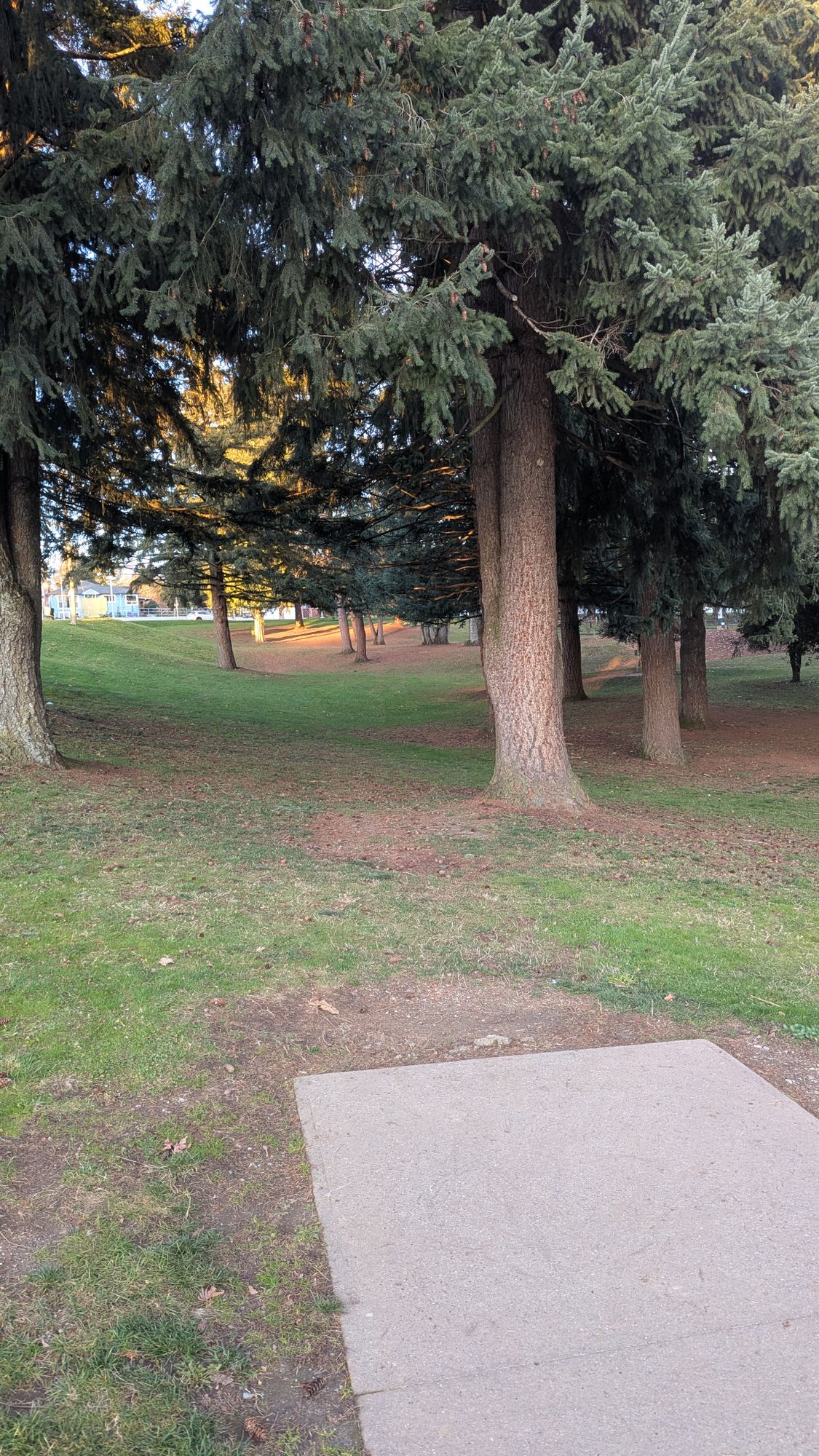 Hole 7