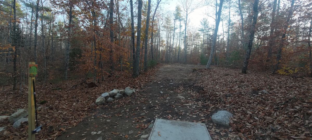 Hole 7