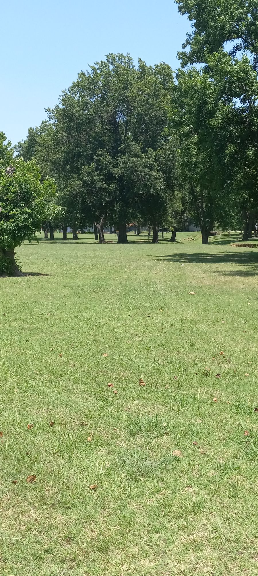 Hole 3