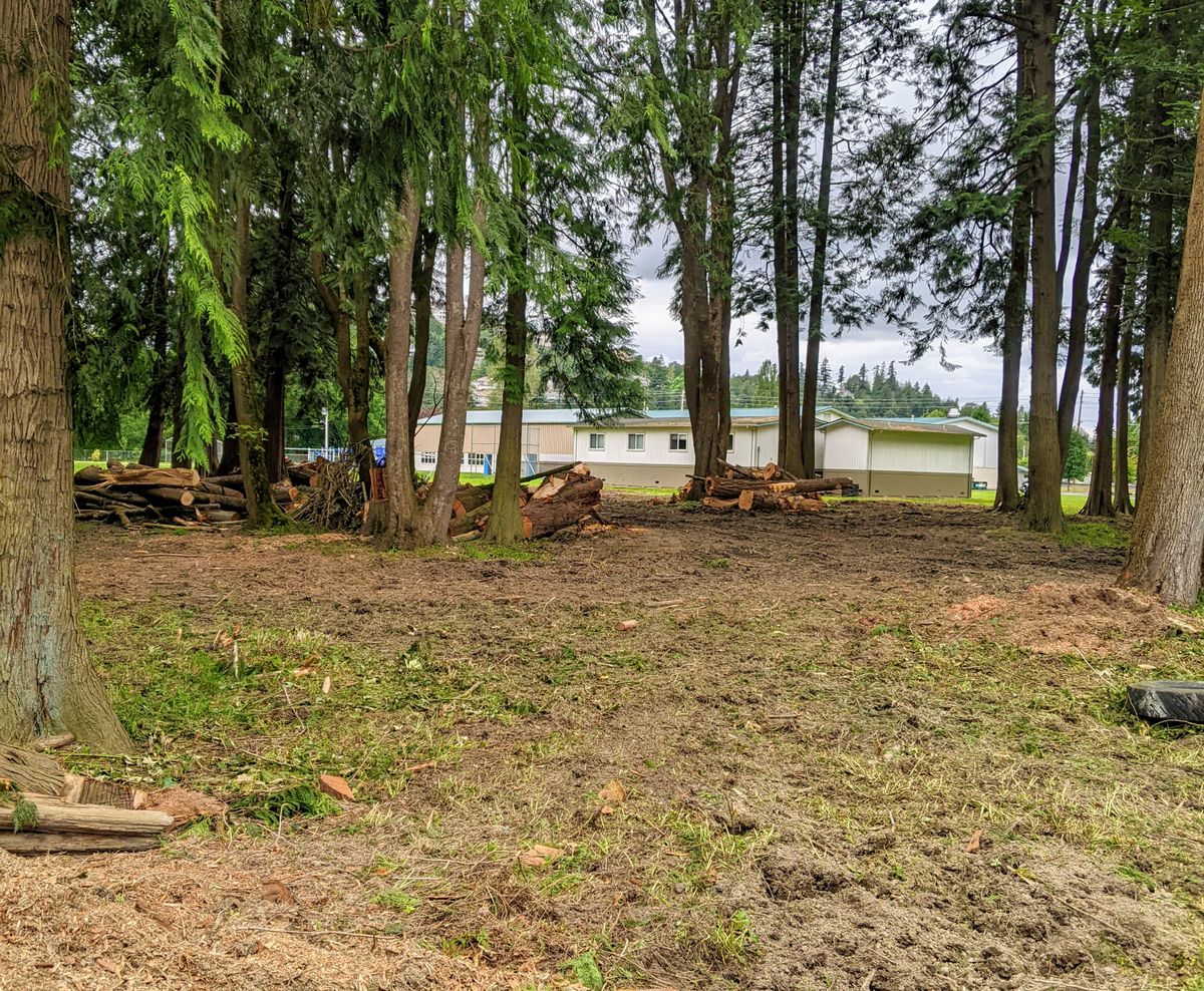 From tee #3.