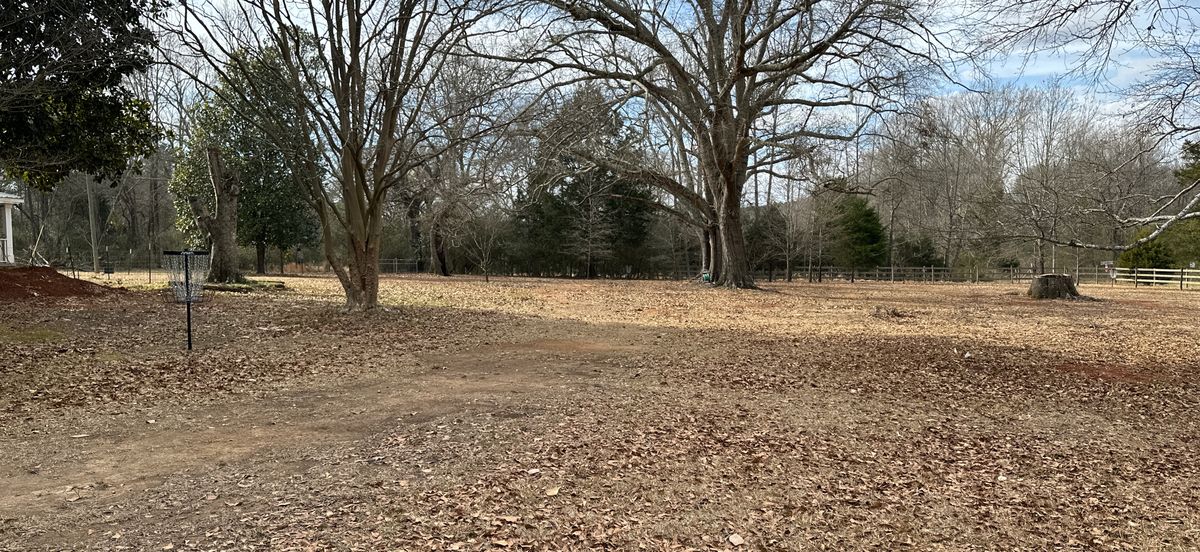 Hole 6