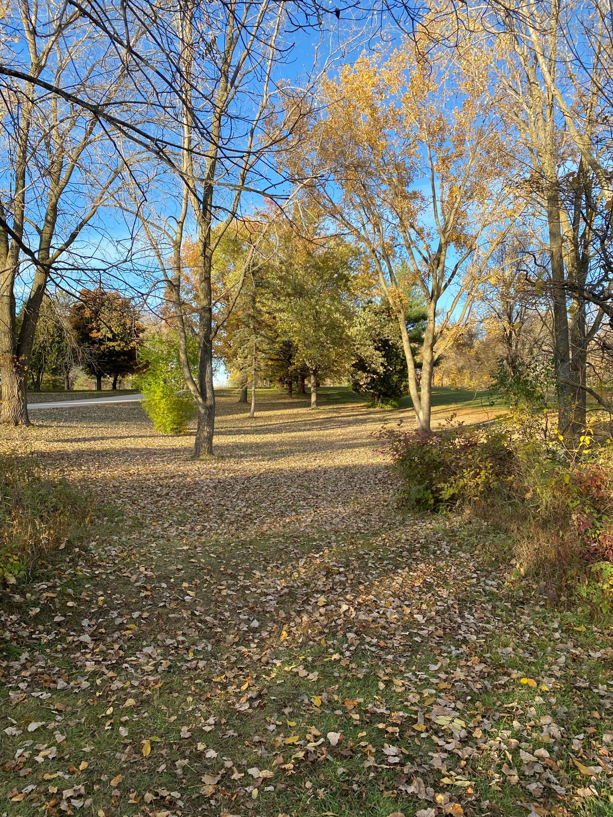 Hole 8 tee