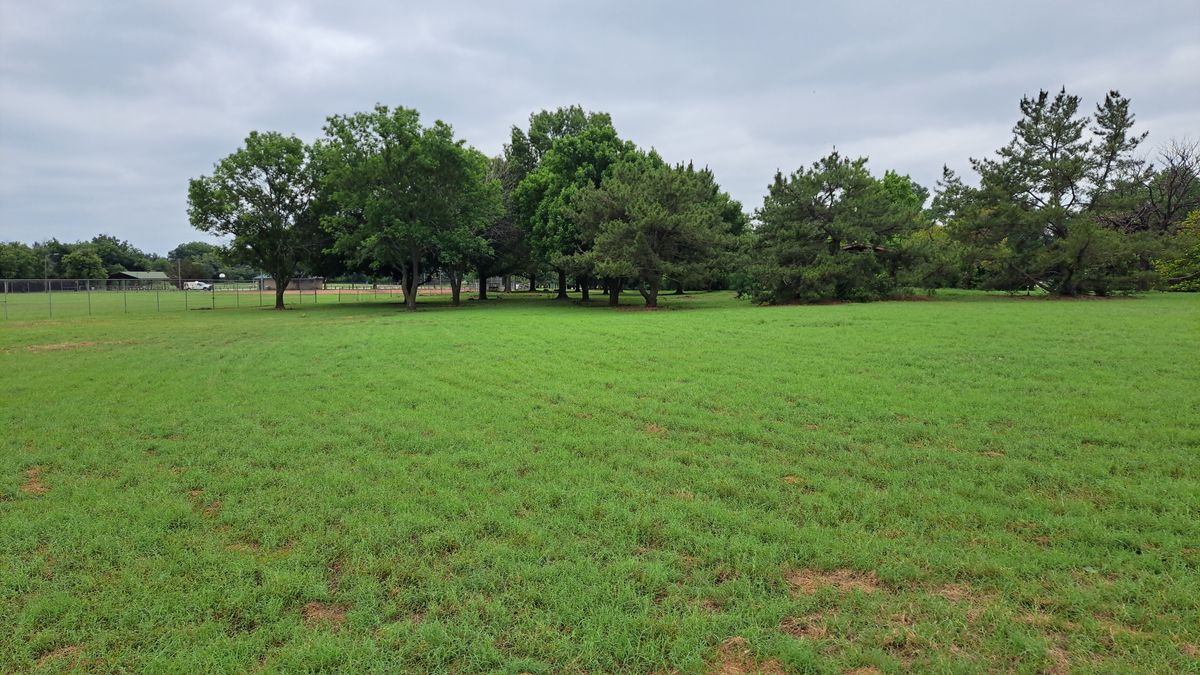 Hole 4