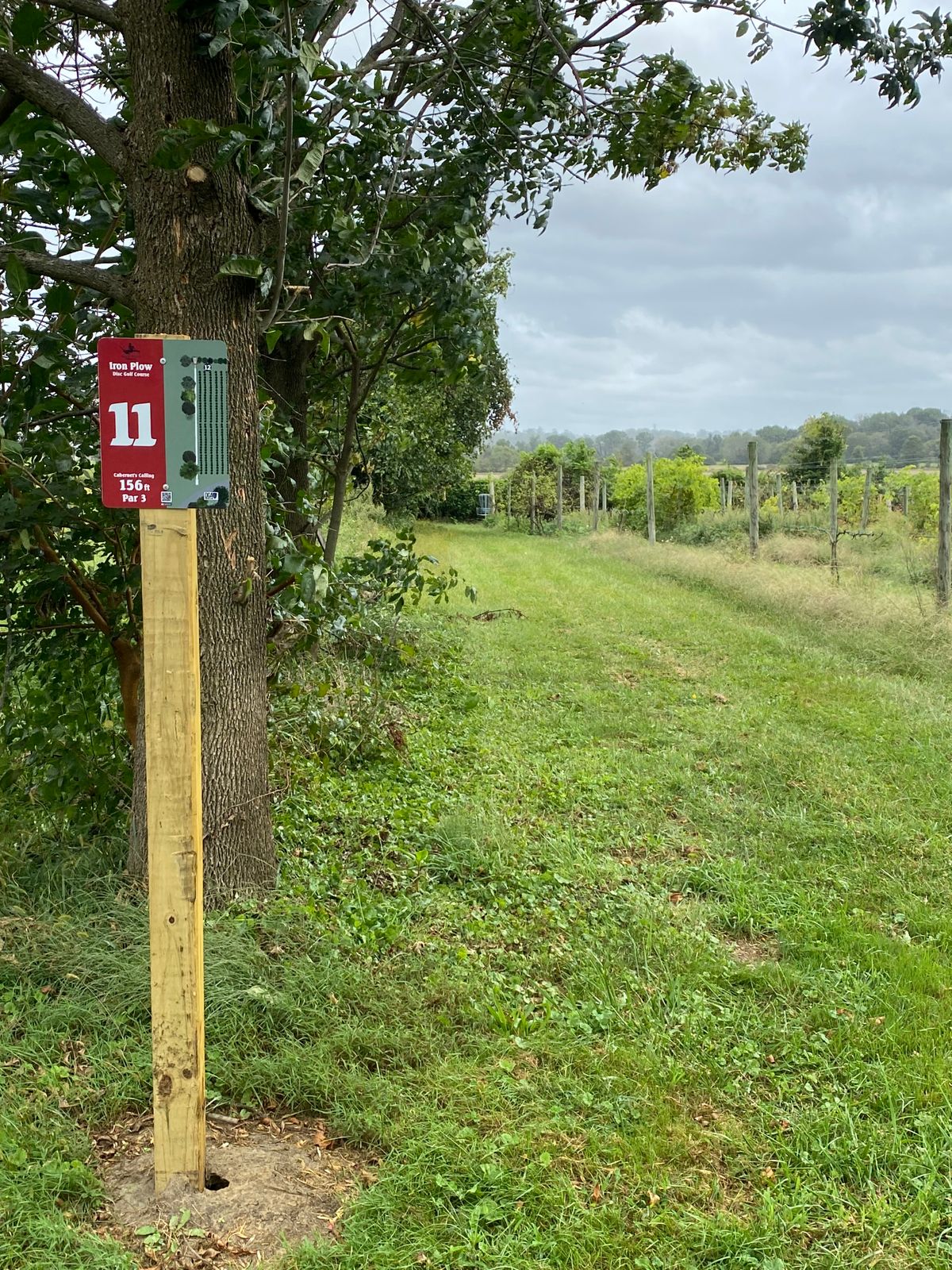 Hole 11