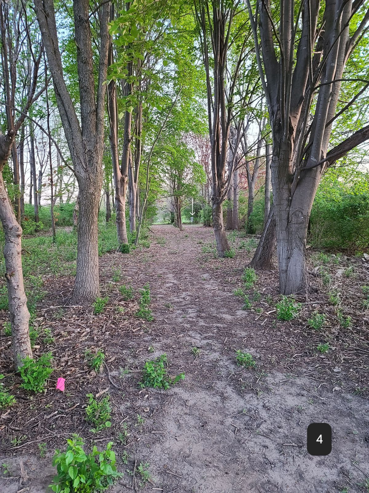 Hole 4