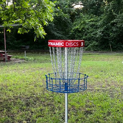 Hole # 3 Basket
