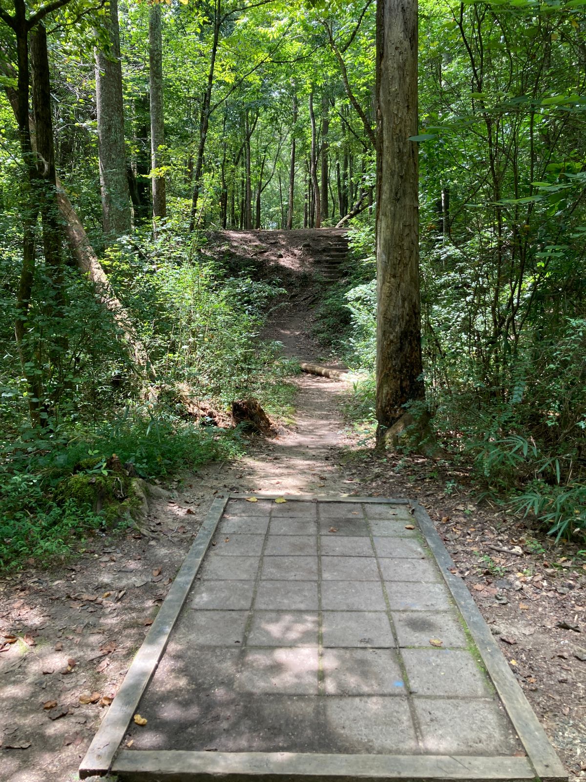 Hole 14 - huge elevation increase of 25-30 feet. Late dogleg left