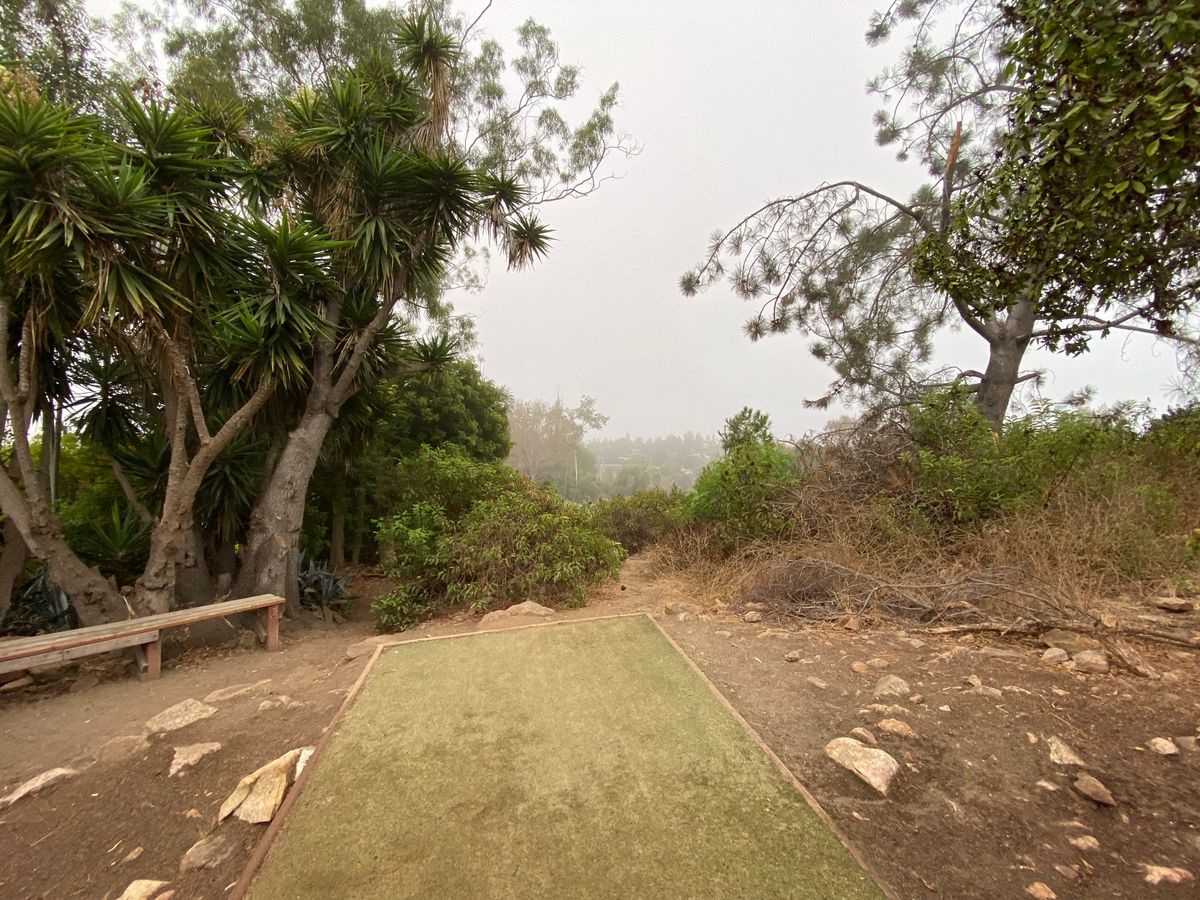 Hole 8 Tee Pad