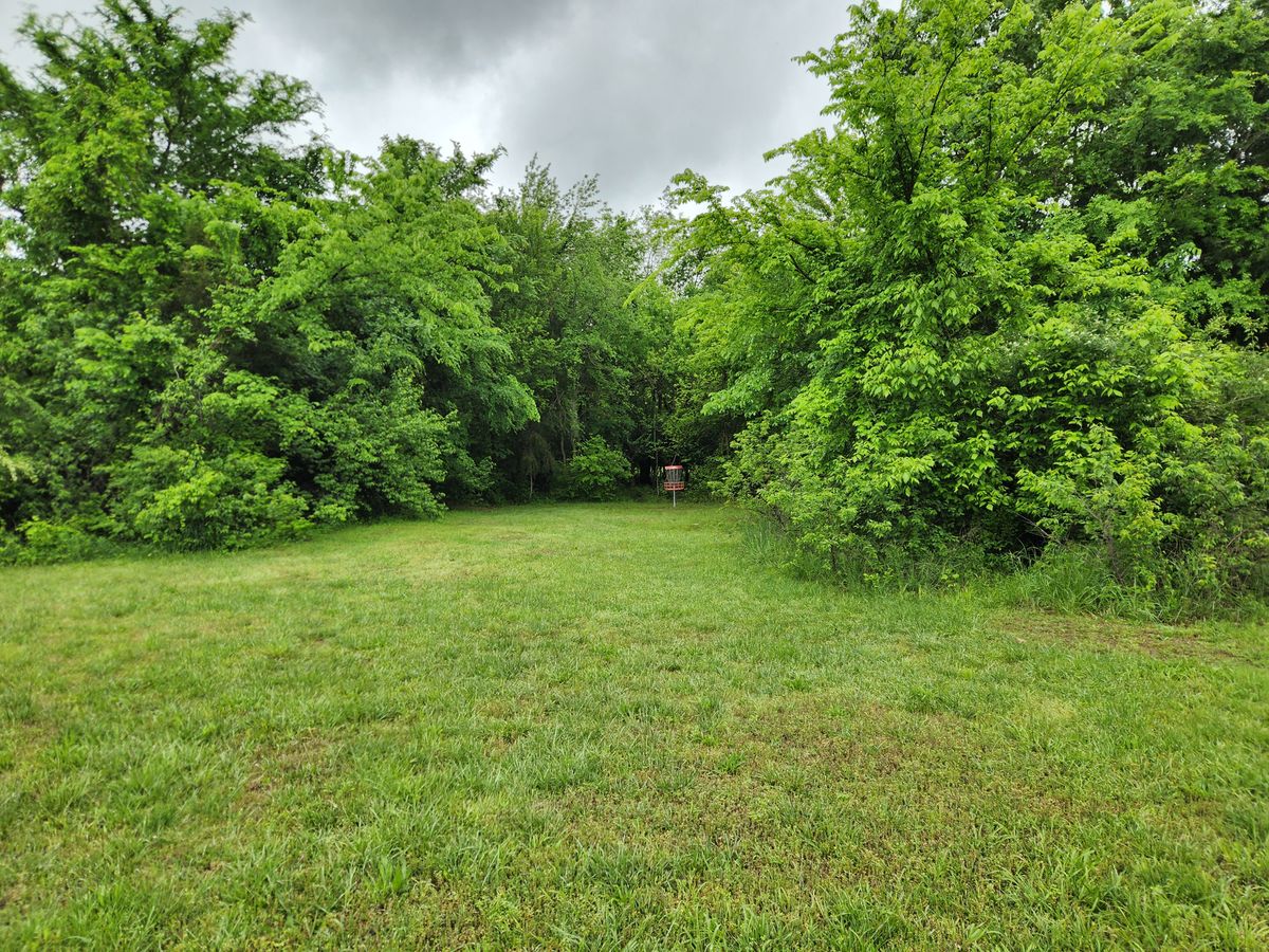 #8 approach