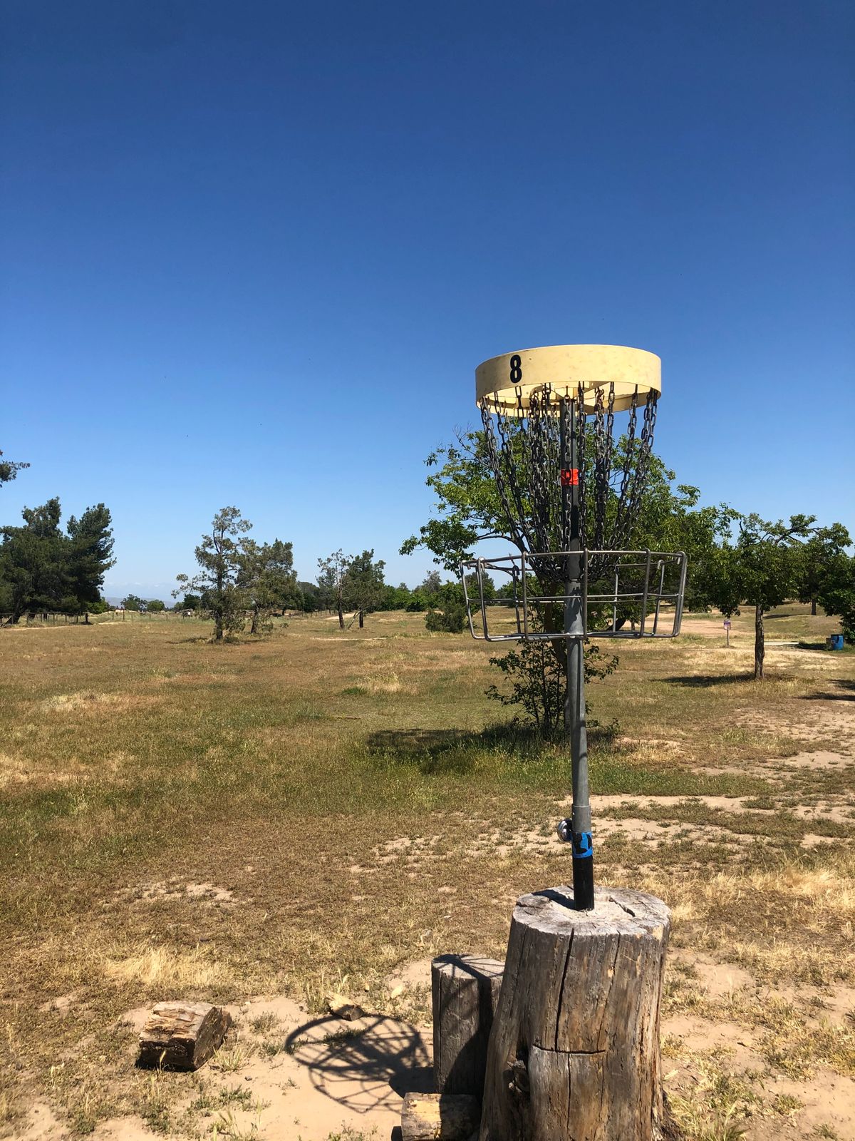 Hole 8 basket to tee