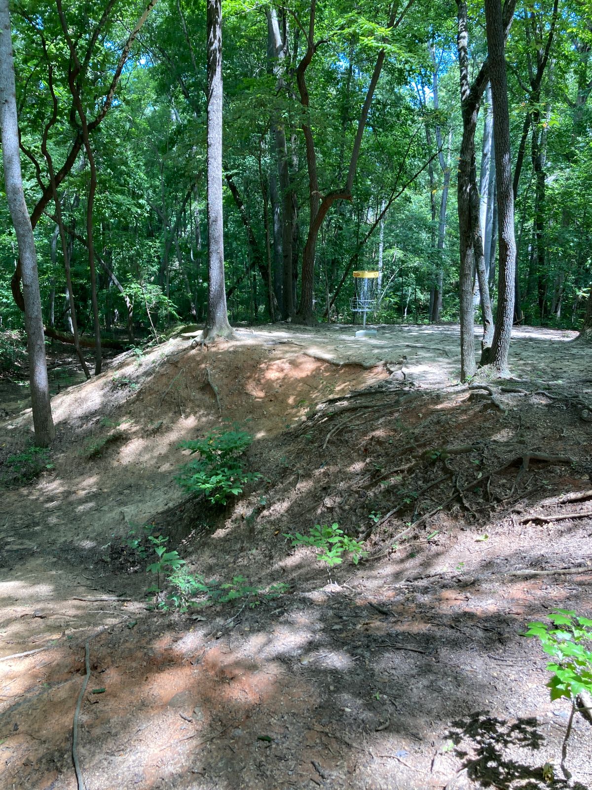 Hole 12 - basket on far edge edge of ravine - rollaways are common